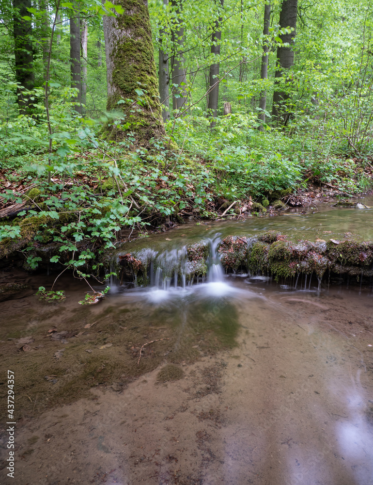 Obraz premium Waterfall on stream in forest in Germany