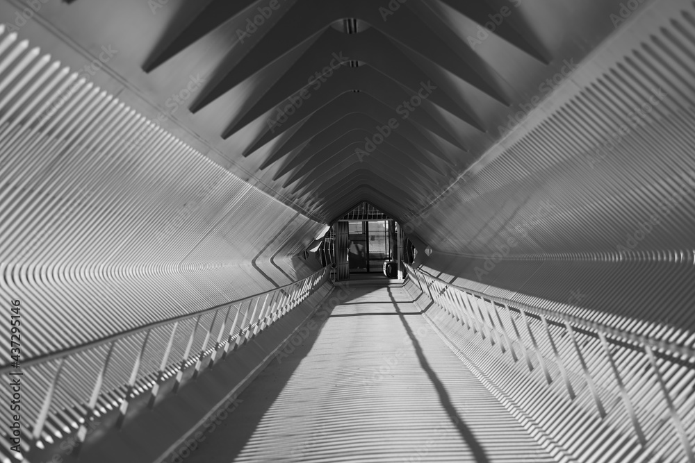 Obraz premium Cruise ship pontoon construction harbor antwerp Belgium