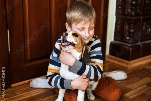 Pet Love. Kids and dogs. Little Boy hugging beagle puppy at home. Cute little Beagle puppy and kid boy playing on floor. Games to play with beagle puppies.