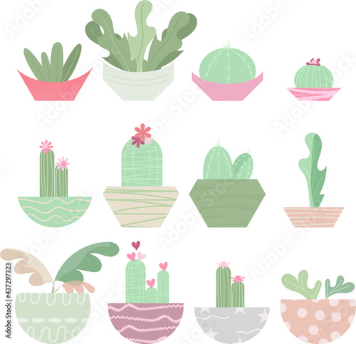 The Best set of Cactus in a Flat Style