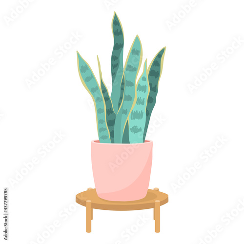 Cartoon house plant in a pink clay pot on a stand with legs. Growing a pike tail with long, sharp leaves. Vector isolated illustration on white background.