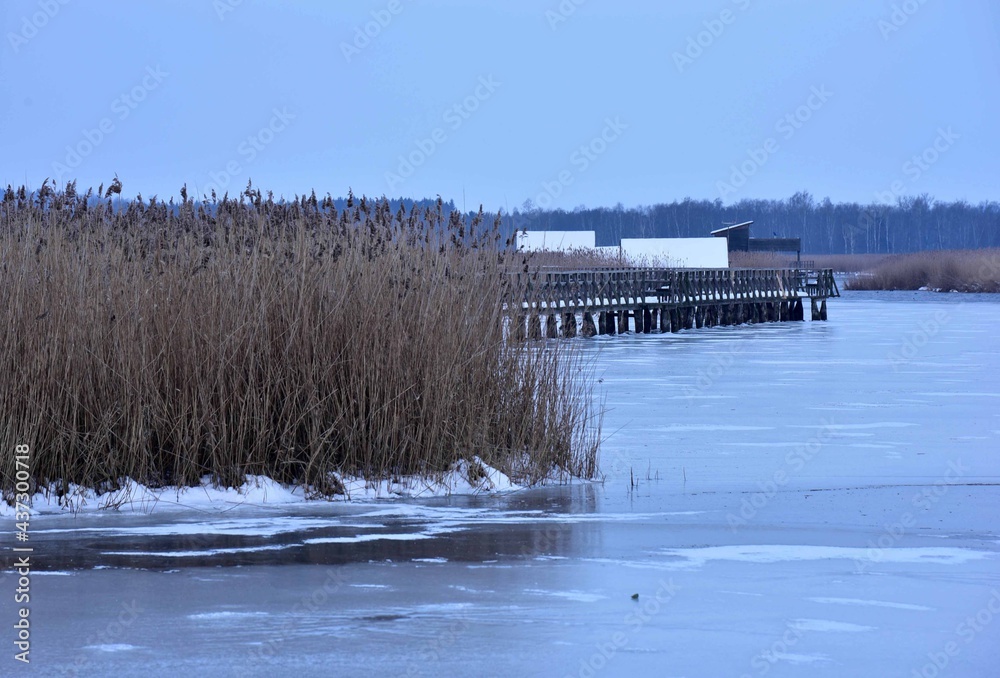 Federsee bei Bad Buchau in Oberschwaben im Winter