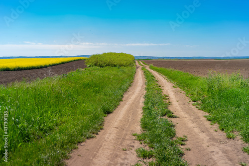road in the field