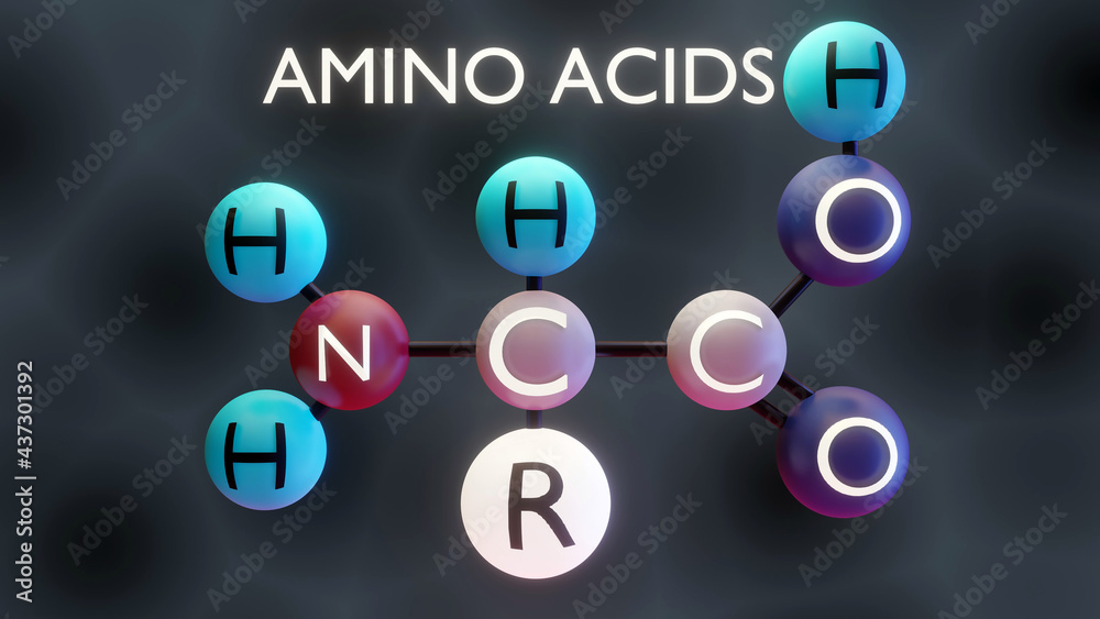 Amino acids molecular structure, 3d illustration Amino acids molecular structure, 3d illustration