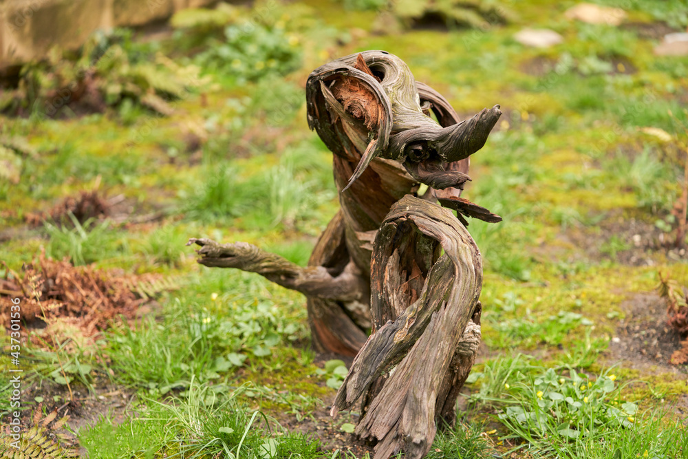 A dried-up tree trunk of a bizarre shape in an old garden. Selective focus. A dried-up tree trunk of a bizarre shape in an old garden. Selective focus.