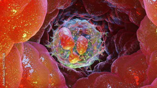 3d Illustration of Neutrophiles type Leukocyte cell, white blood cells, 3d render photo