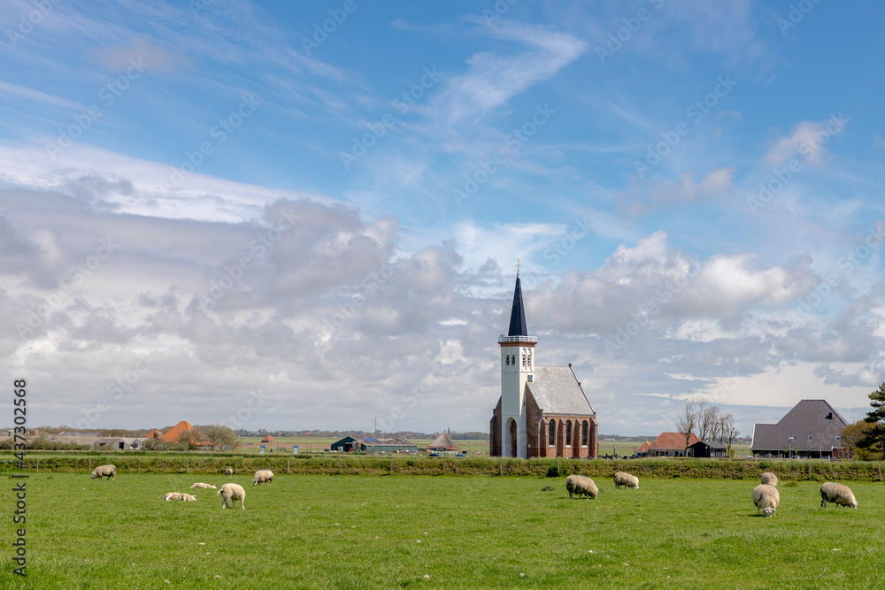 Typical landscape of Texel island with small village and picturesque church (Hervormde kerk) under blue sky and white clouds, A little town on the wadden islands, Den Hoorn, Noord Holland, Netherlands