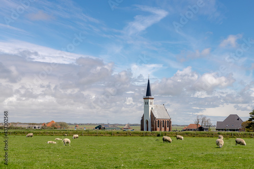 Typical landscape of Texel island with small village and picturesque church (Hervormde kerk) under blue sky and white clouds, A little town on the wadden islands, Den Hoorn, Noord Holland, Netherlands © Sarawut