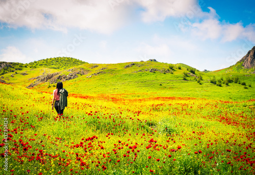 Panoramic view beautiful brunette woman enjoy spring wild nature landscape alone surrounded poppy flowers © Evaldas