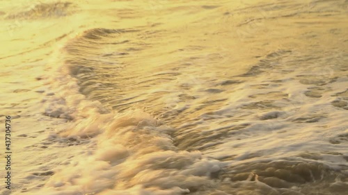 Documentary frames. Newborn sea turtles run on the beach to the water of the Pacific Ocean. Dawn. Soft sunlight. Extra Long Shot, photo