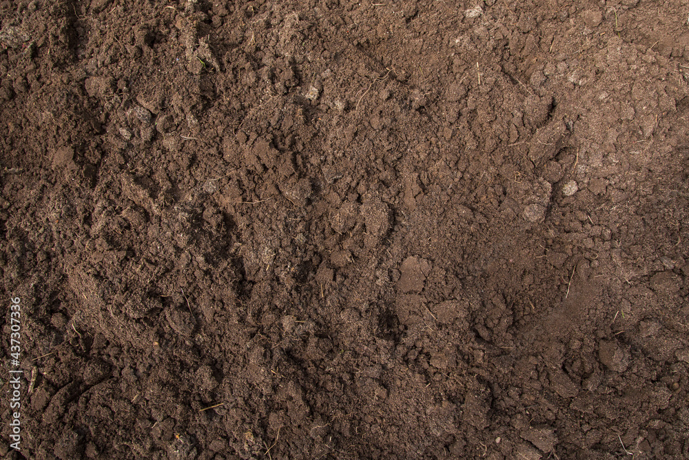 Brown empty soil ground texture background, top view