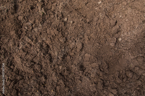 Brown empty soil ground texture background, top view