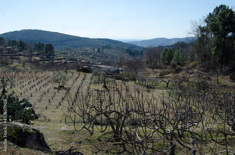 Naklejka premium valle del tietar detalles