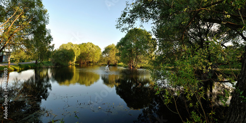 A summer walk through the forest  a beautiful panorama.