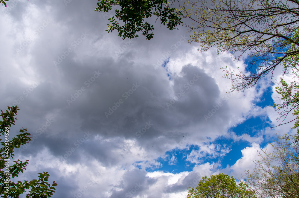 Fototapeta premium View into impressive spring sky with thick clouds as a texture or background