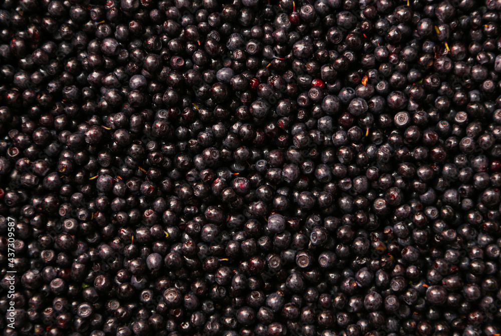 Background from freshly picked blueberries. Background of fresh washed blueberries close up Background from freshly picked blueberries. Background of fresh washed blueberries close up