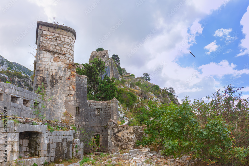 View of the old fortress wall, in thickets of grasses and bushes. Kotor, Montenegro