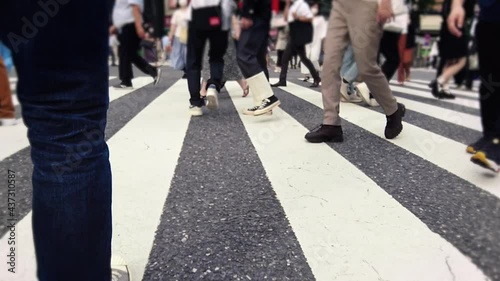 Wallpaper Mural 渋谷スクランブル交差点を行き交う人々 Torontodigital.ca