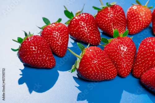 Bunch of strawberries on blue background. Red berry summer seasonal fruit.