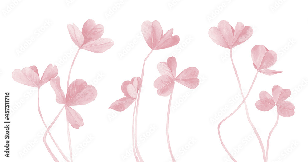 Pink Clover leaves set. Pastel plant stems. Watercolour illustration isolated on white background.