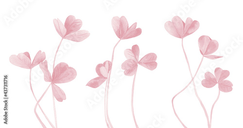 Pink Clover leaves set. Pastel plant stems. Watercolour illustration isolated on white background. © Anna