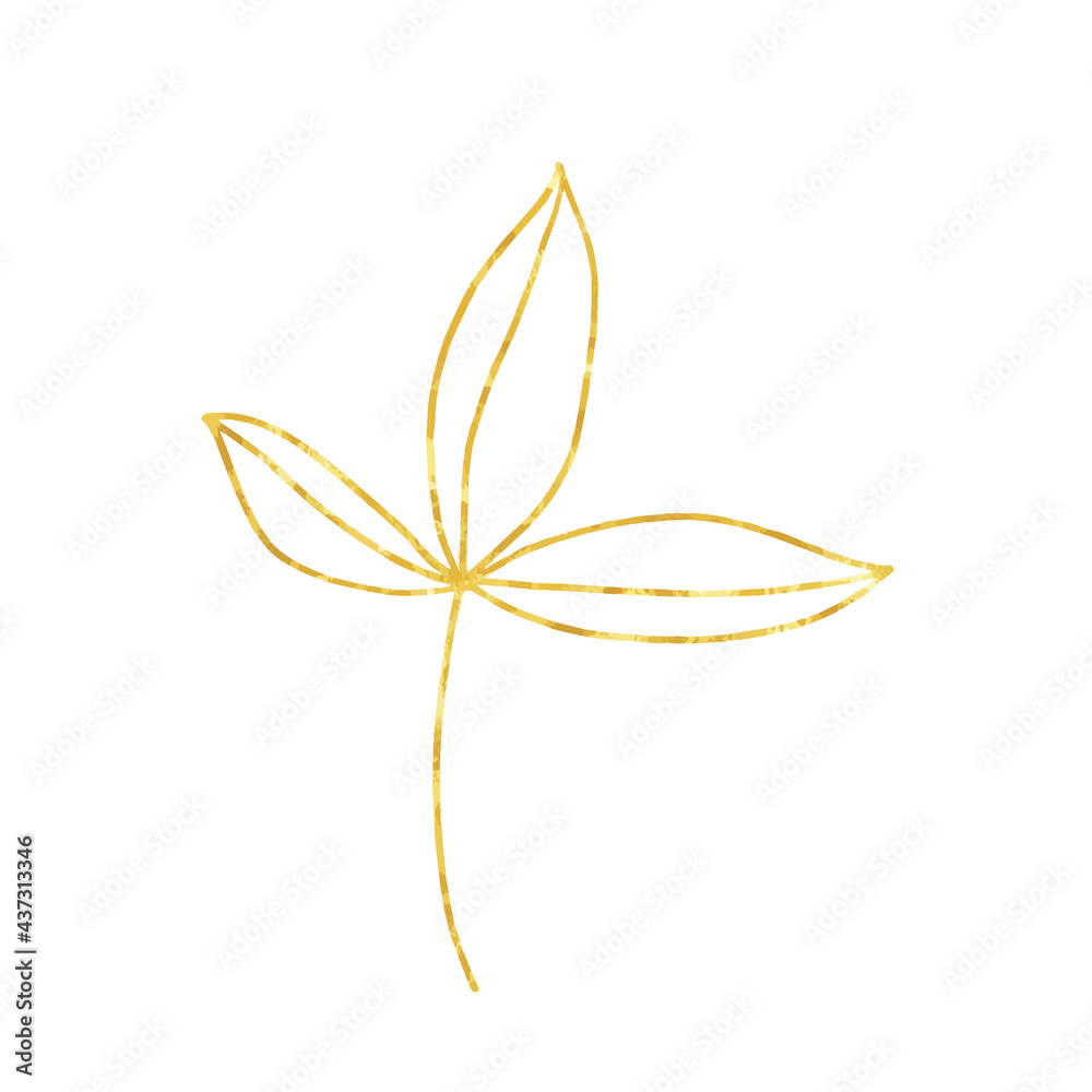 Gold branch, linear leaves and seeds. Hand painted isolated on white background. Vector. Gold branch, linear leaves and seeds. Hand painted isolated on white background. Vector.