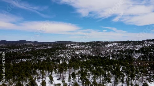 snowy landscape
