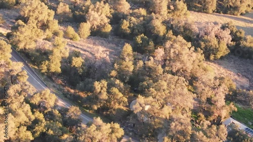 Palomar Mountian