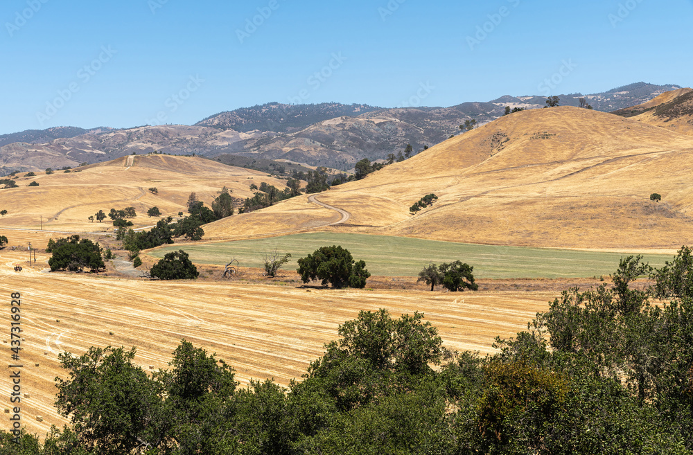 Obraz premium Santa Inez, CA, USA - April 3, 2009: San Lorenzo Seminary. Darker brown mountains and yellow flanks and valley in front where hay was freshly harvested under blue sky.