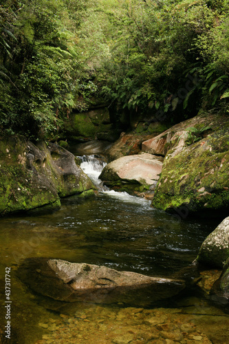 Mossy Stream, Waterfalls