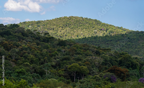 Atlantic forest landscape with trees and clouds in mountains with sun and shadows