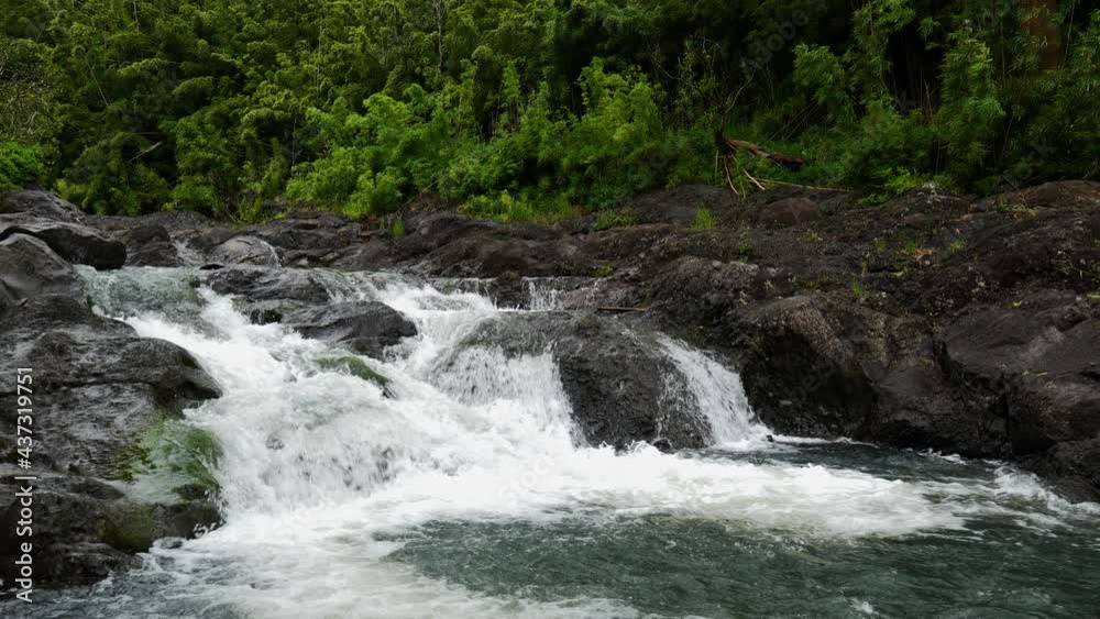 Slow motion rapids in bamboo forest on Maui Hawaii Slow motion rapids in bamboo forest on Maui Hawaii