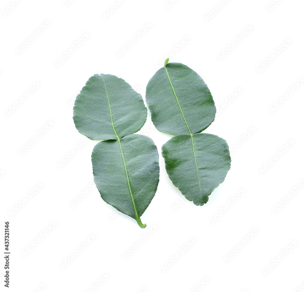 Fototapeta premium Bergamot fruit isolated on white background