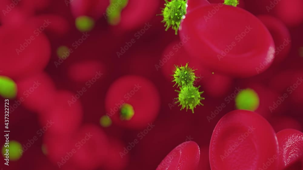 Red blood cells flowing with viruses in an artery. 3d video Red blood cells flowing with viruses in an artery. 3d video