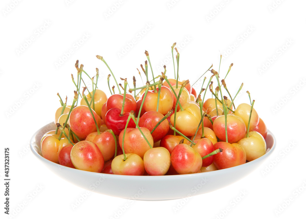 Close up of a porcelain bowl full of fresh organic Rainier Cherries, isolated on a white background Close up of a porcelain bowl full of fresh organic Rainier Cherries, isolated on a white background