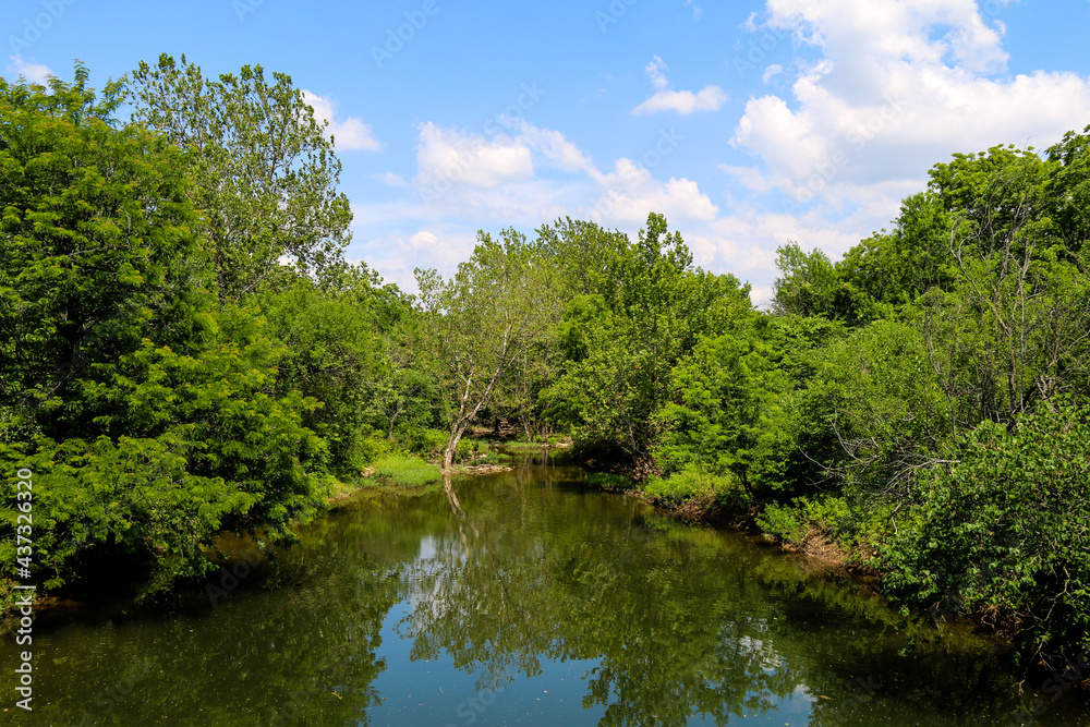 peaceful calm river lake or pond scene with lush trees greenery and blue sky and clouds