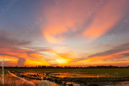 Sunset twilight sky over rice field countryside landscape