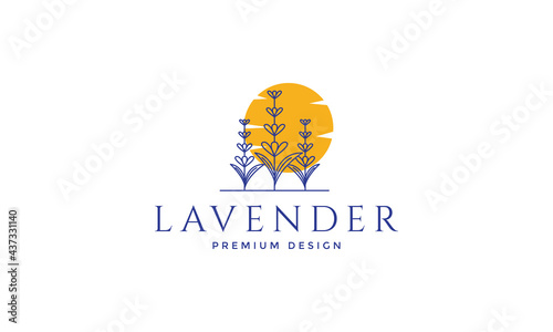lines colorful lavender plants logo symbol vector icon illustration graphic design