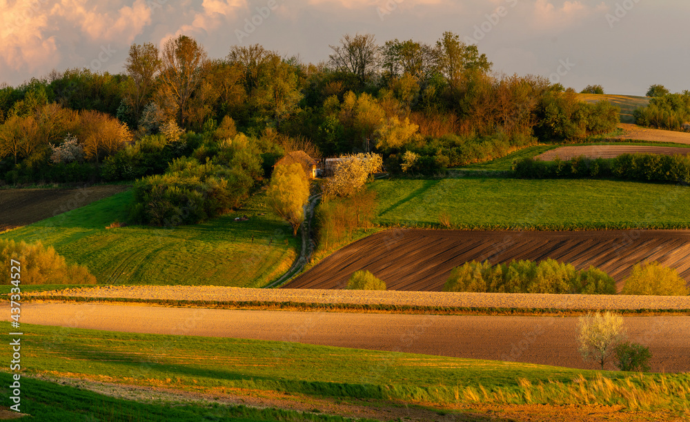 Fototapeta premium spring panorama of fields on farmland cultivated extensively and ecologically