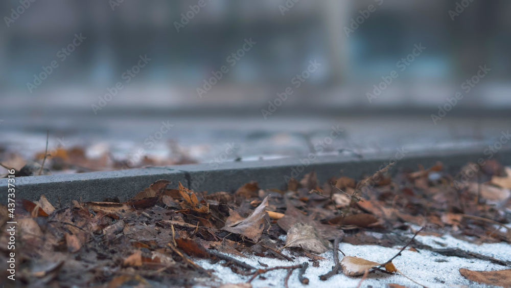 Autumn landscape. Wet asphalt after rain close up, soft selective focus. Autumn landscape. Wet asphalt after rain close up, soft selective focus.