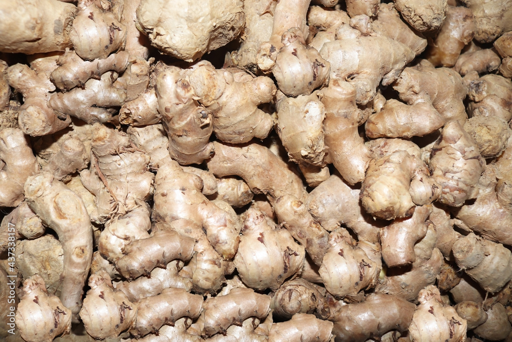 Fresh organic ginger on fresh market Fresh organic ginger on fresh market