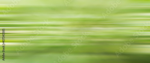 abstract blurred background motion green color seasonal summer blurred leaves nature