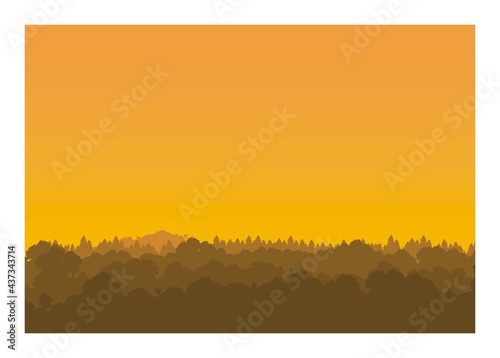 Layer of forest. Scenery with afternoon sky background. 