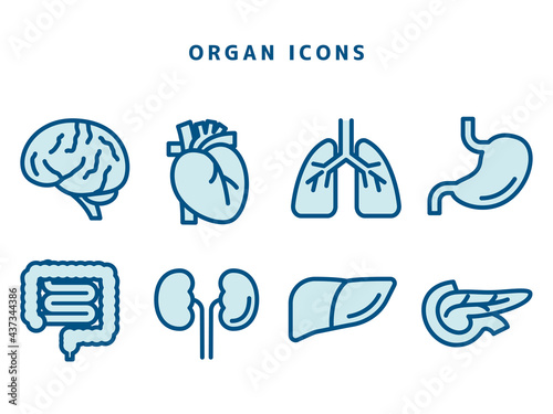 Organ Icons 臓器アイコンセット