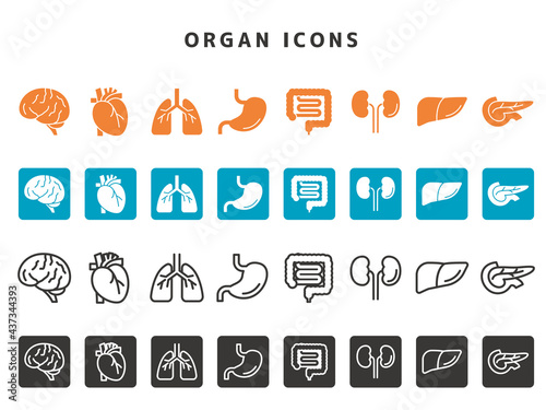 Organ Icons 臓器アイコンセット