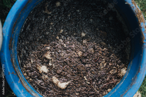 Organic fertilizer from fermented manure. Fermented manure being soaked in water to provide a natural organic garden liquid fertilizer.