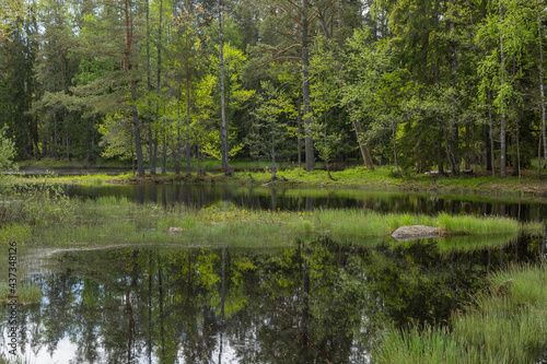 Swedish river and natural salmon area in spring. Farnebofjarden national park in north of Sweden.
