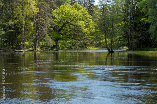 Swedish river and natural salmon area in spring. Farnebofjarden national park in north of Sweden.