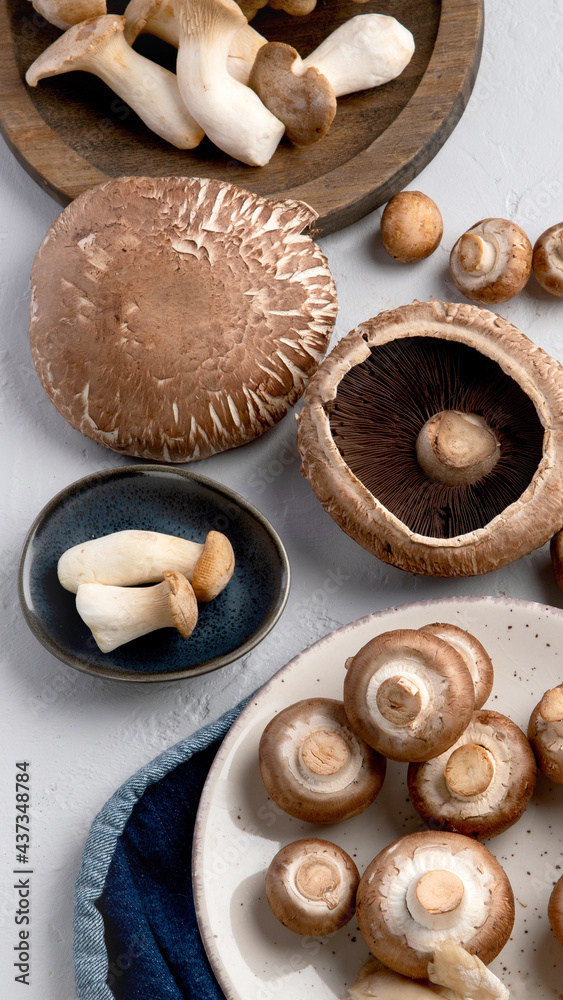 Variety of raw mushrooms on light gray background. Variety of raw mushrooms on light gray background.