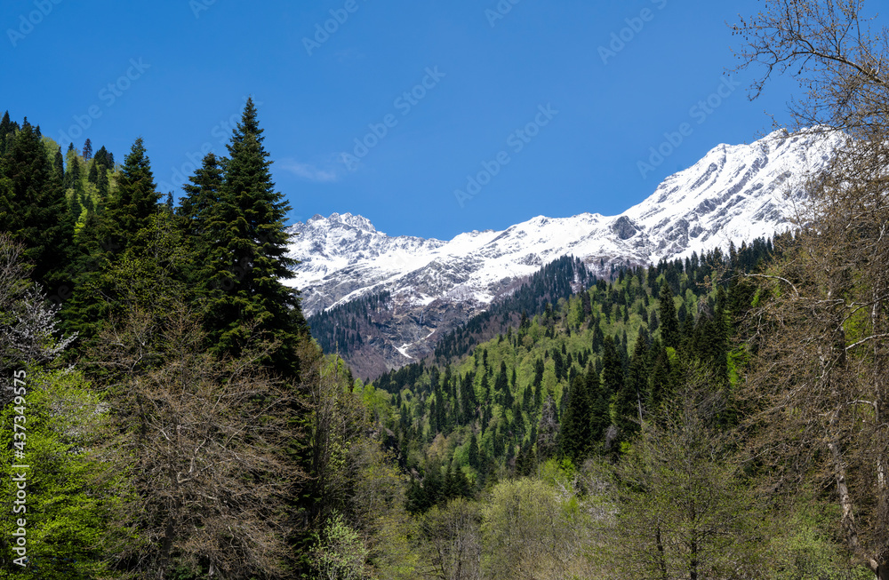 View of the mountains and forest in the Republic of Abkhazia.